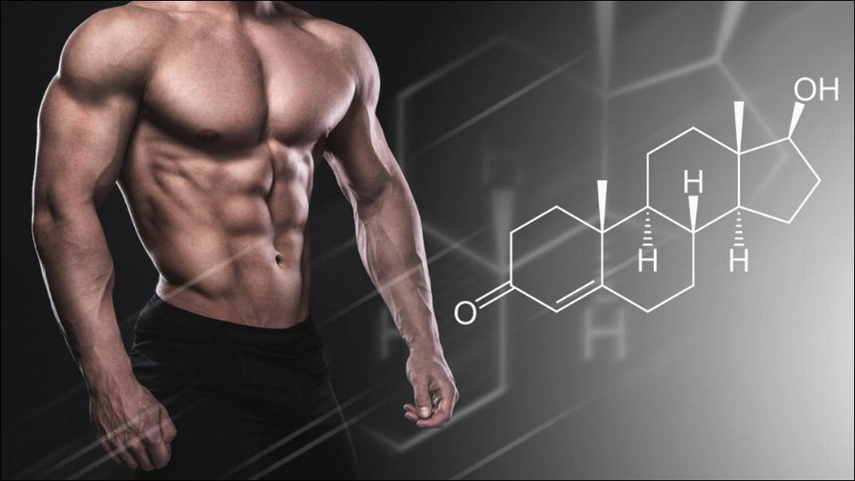 Best Anabolic Steroids- Top Steroids for Working out & Muscle Building (Safe Steroids for Bodybuilding)